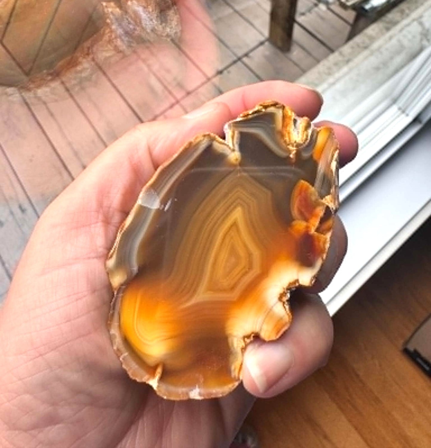 Indonesian Yellow banded Agate nodule polished
