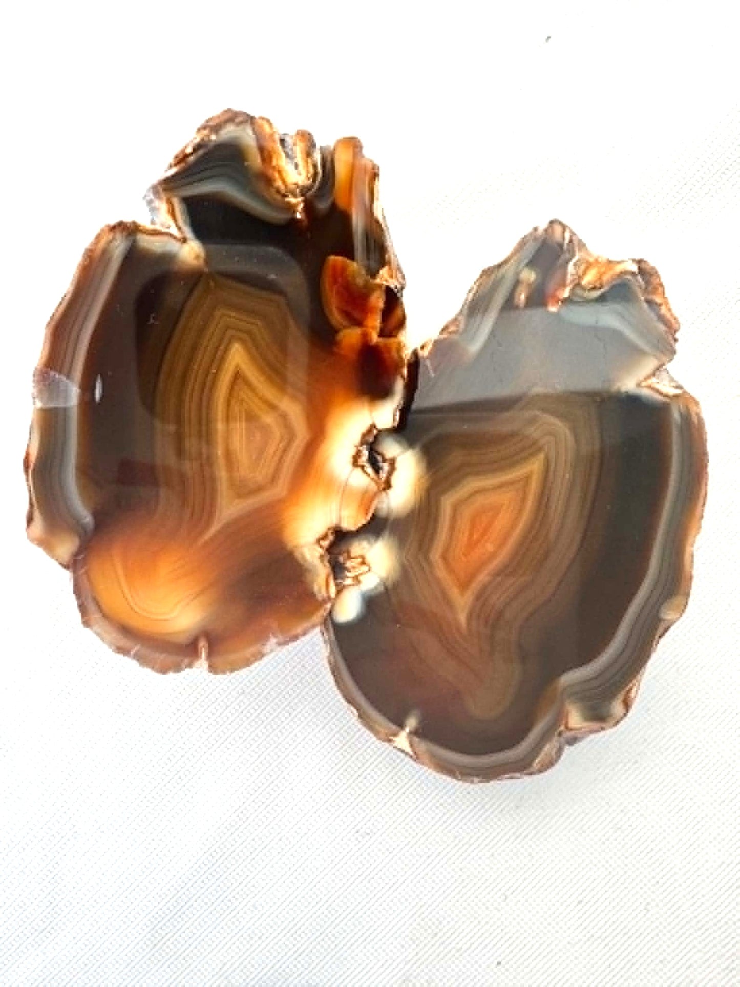 Indonesian Yellow banded Agate nodule polished