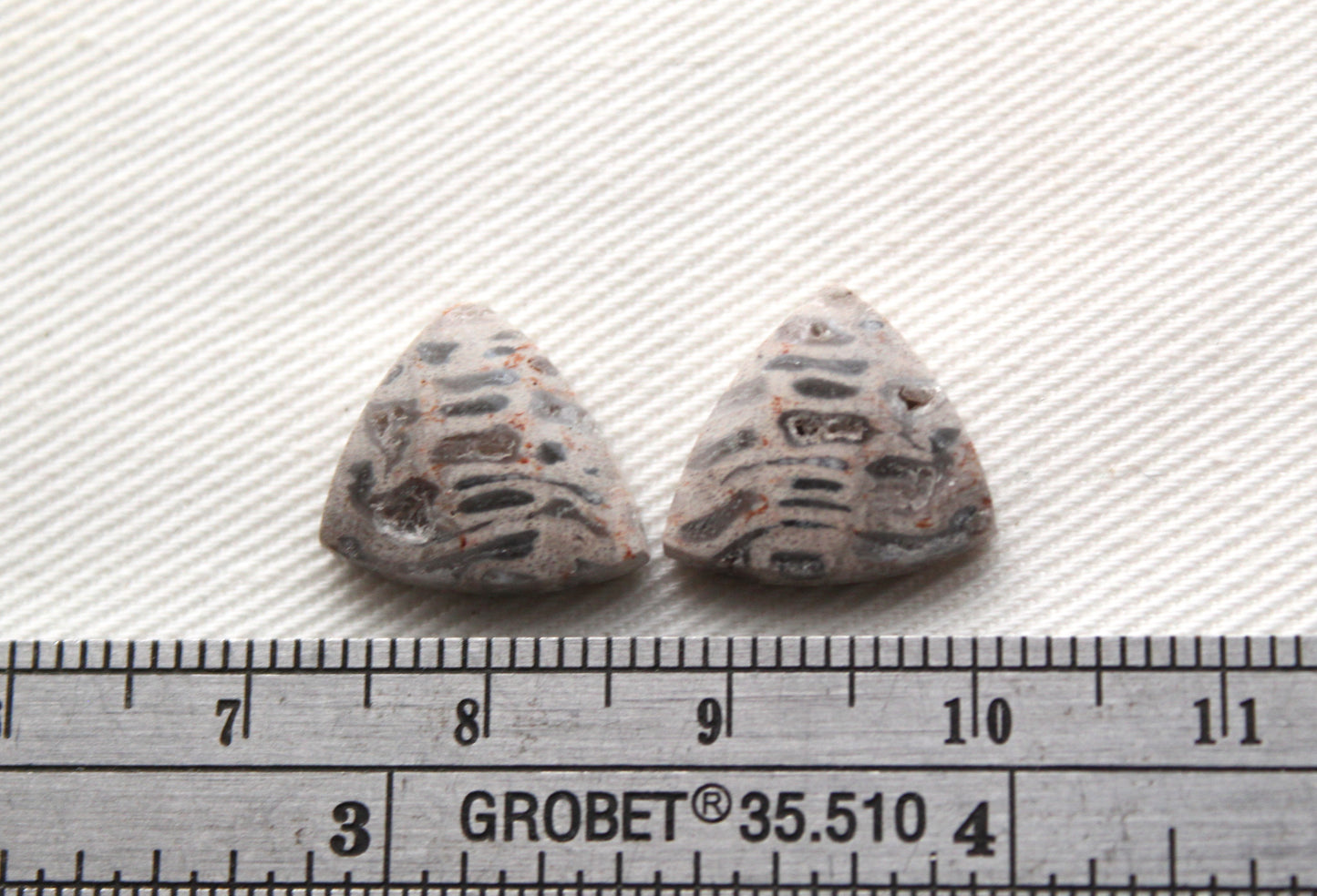 SMALL Fossil Palmwood Cabochon Pair Gemstone with druzy pockets triangle