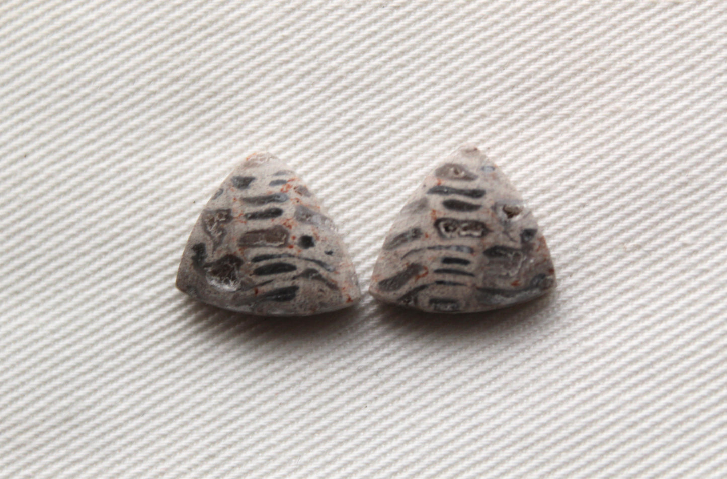 SMALL Fossil Palmwood Cabochon Pair Gemstone with druzy pockets triangle
