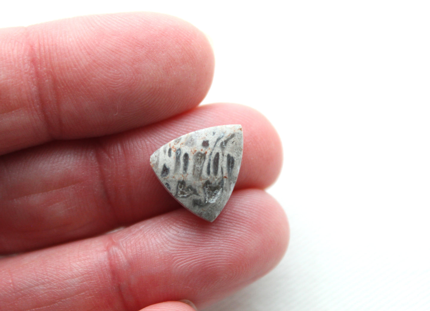 SMALL Fossil Palmwood Cabochon Pair Gemstone with druzy pockets triangle