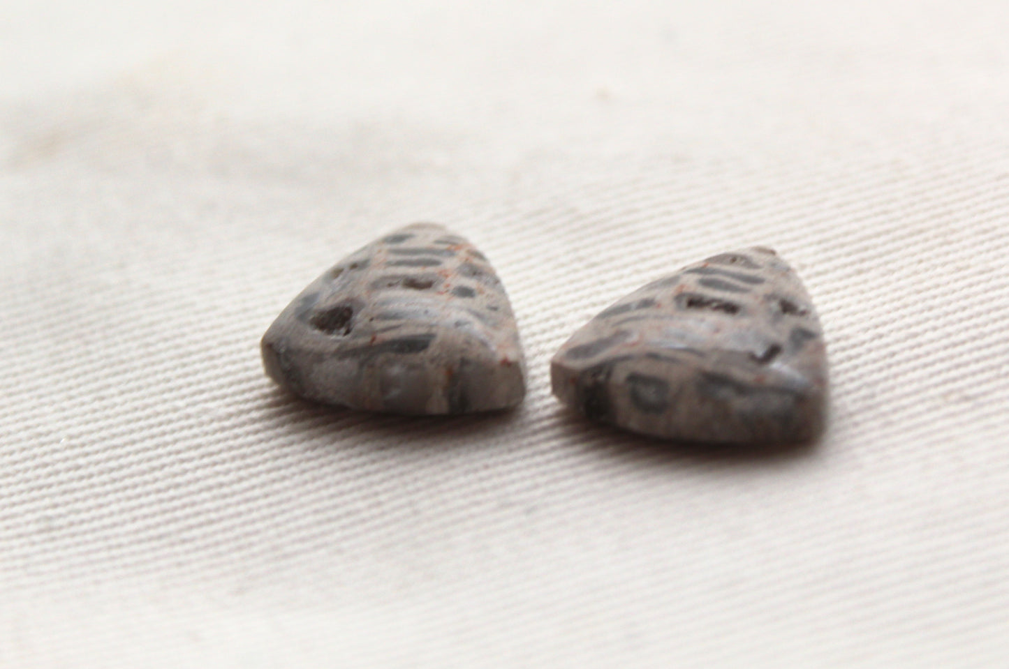 SMALL Fossil Palmwood Cabochon Pair Gemstone with druzy pockets triangle