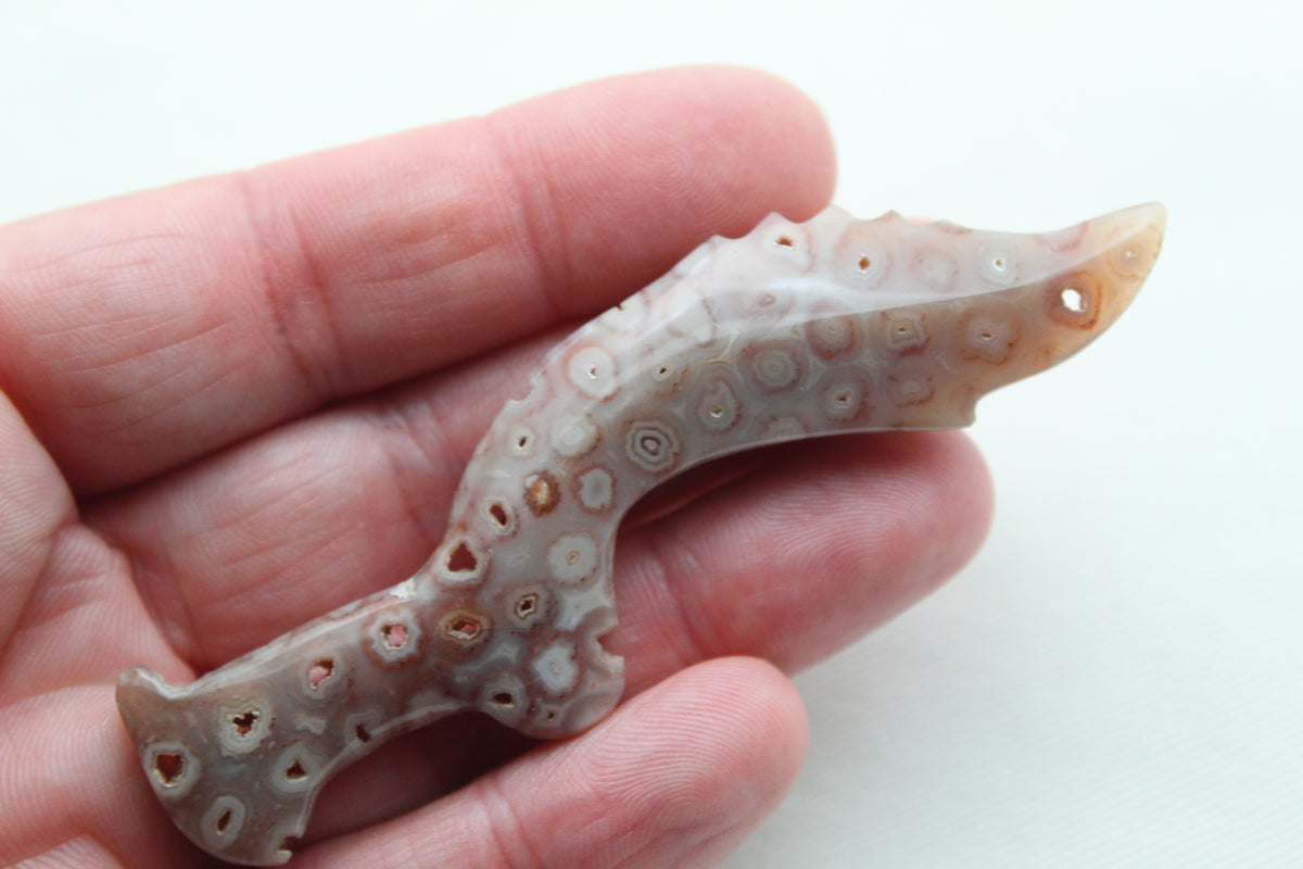 Large Fossilized Coral Gemstone Kujang shape UNdrilled