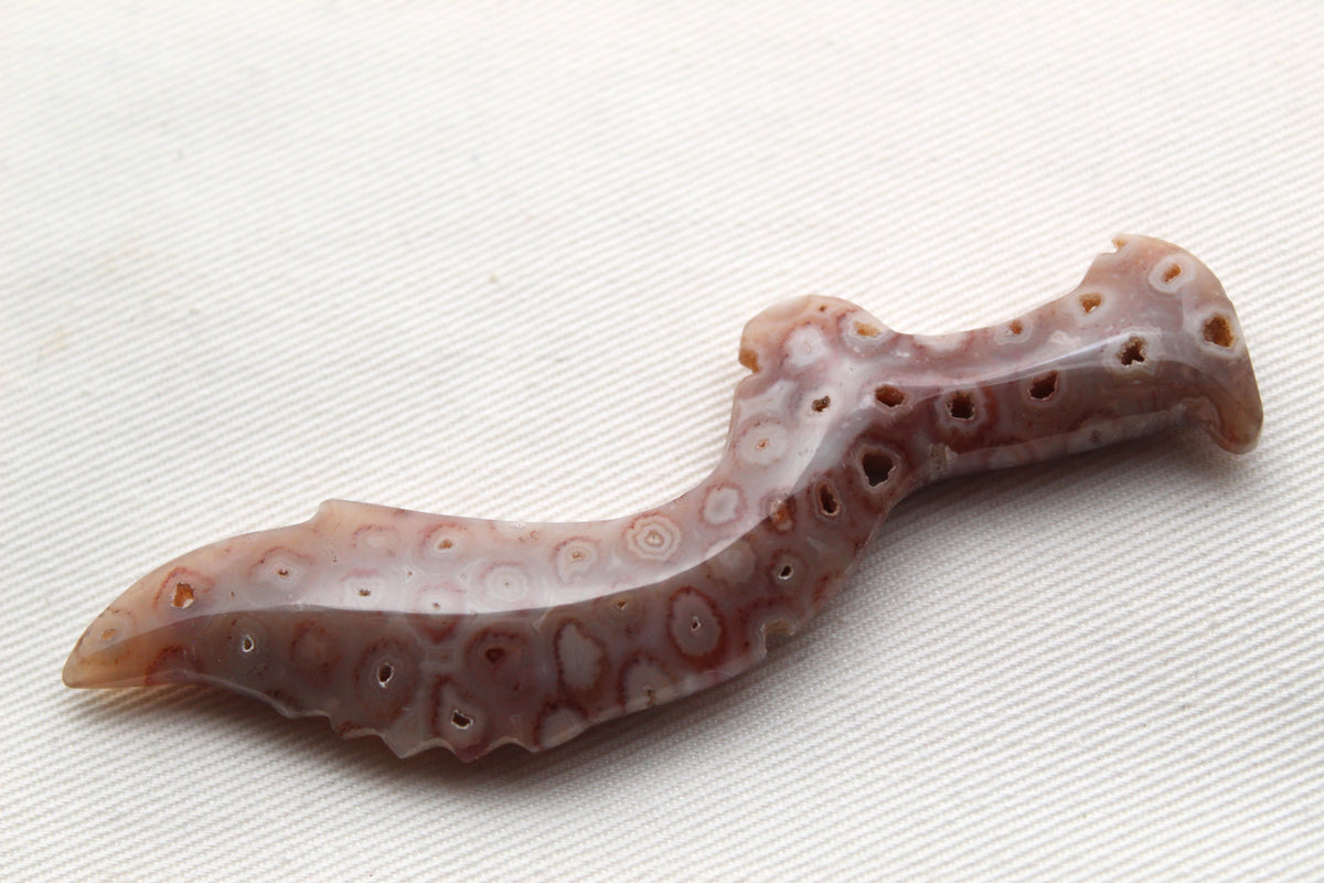 Large Fossilized Coral Gemstone Kujang shape UNdrilled