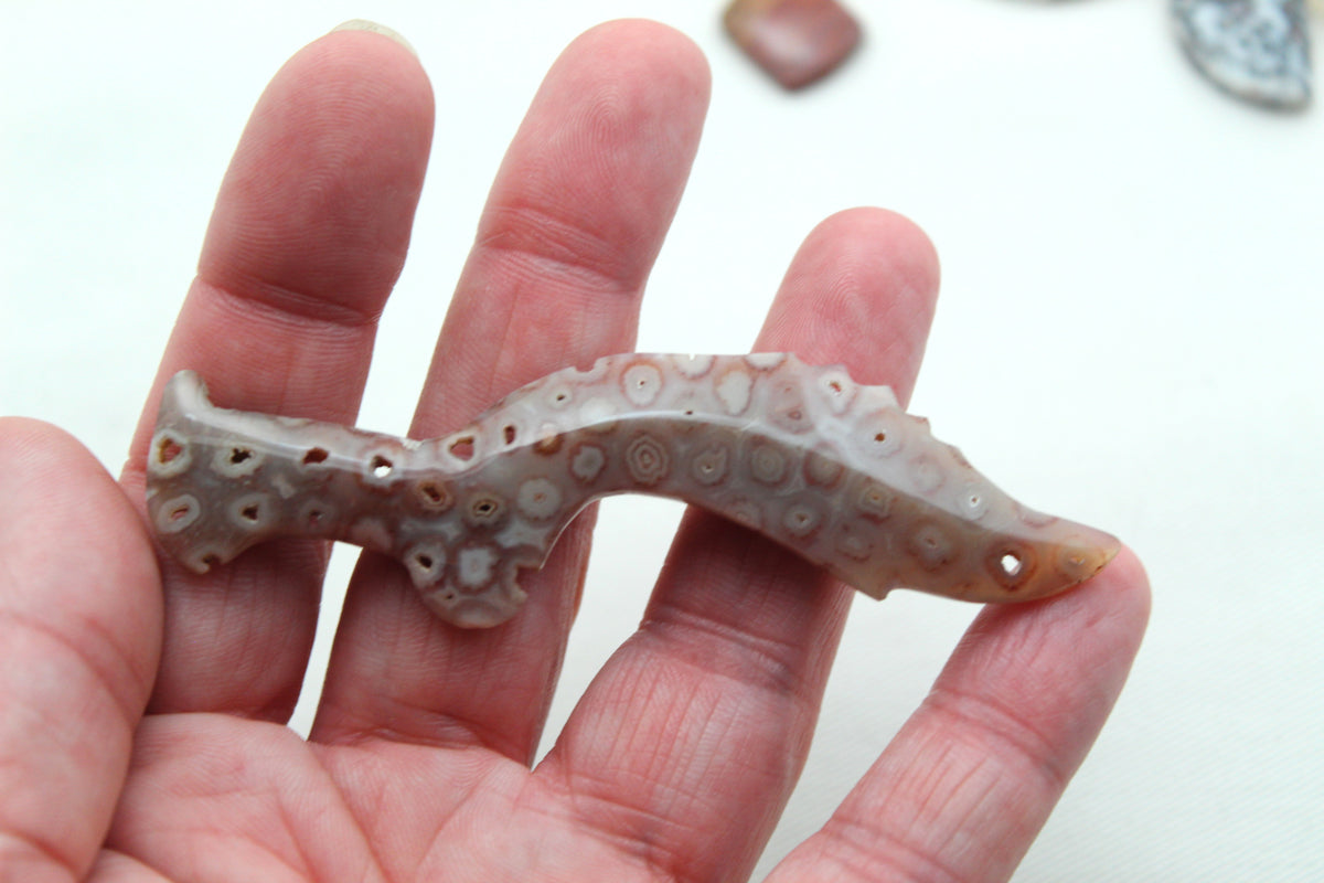 Large Fossilized Coral Gemstone Kujang shape UNdrilled
