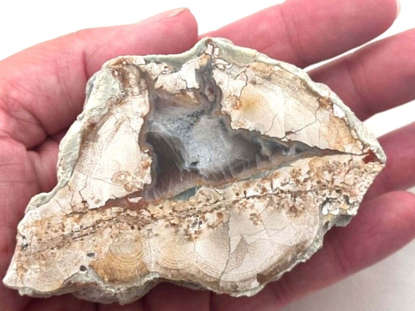 Nice Natural Agate Mont Lyall Canada Half Nodule