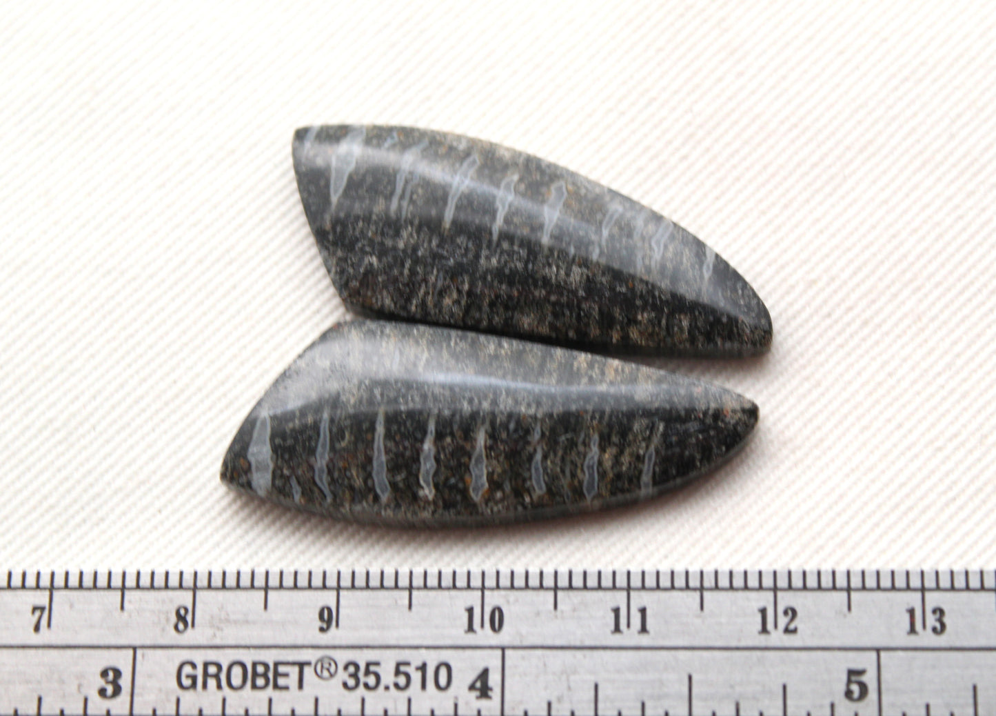 Palm Root Bone Cabochon Pair natural gemstones