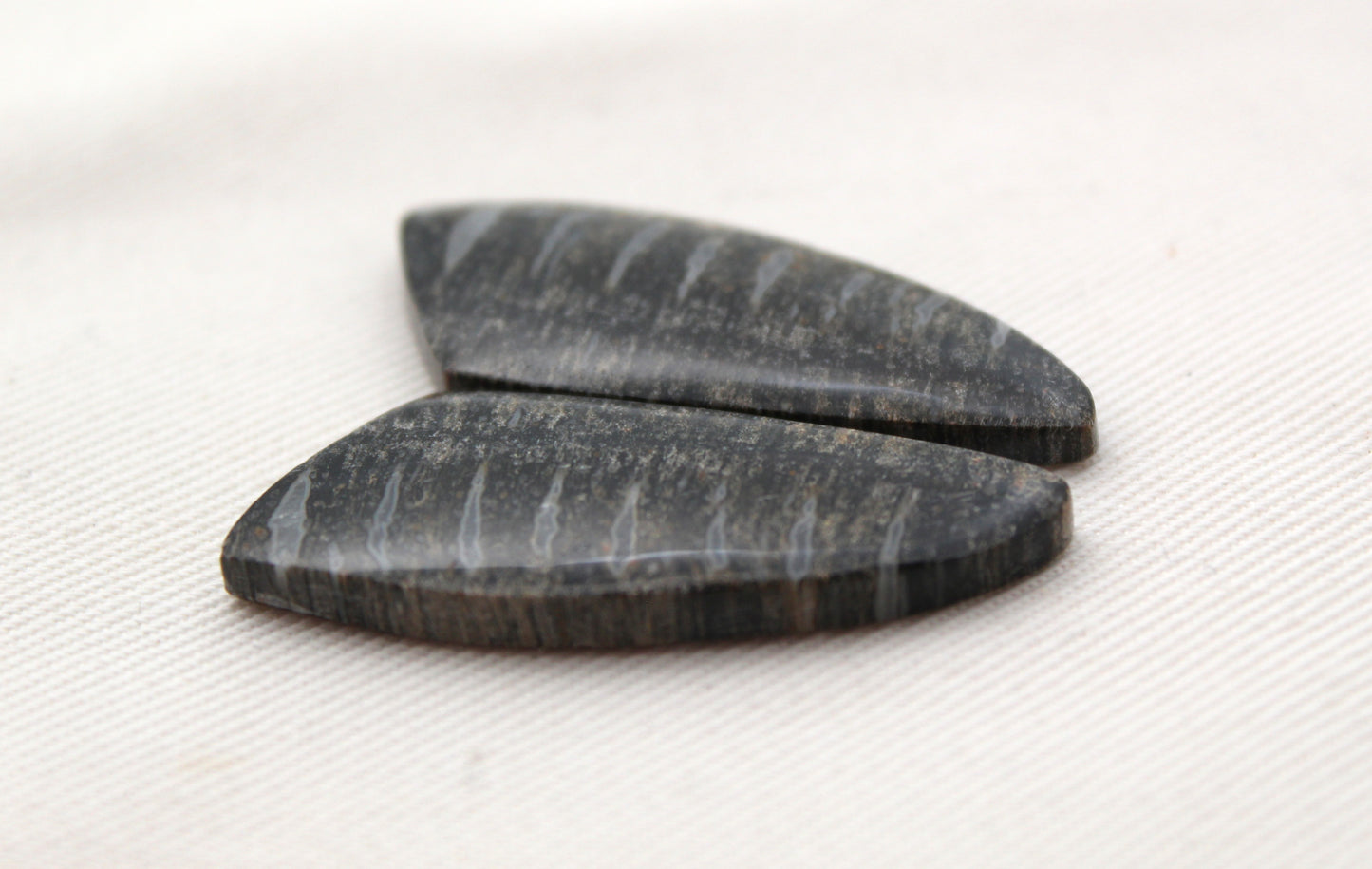 Palm Root Bone Cabochon Pair natural gemstones