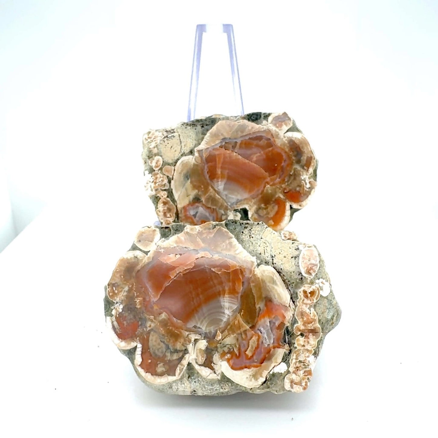 Natural Agate Nodule Mont Lyall Canada polished one face