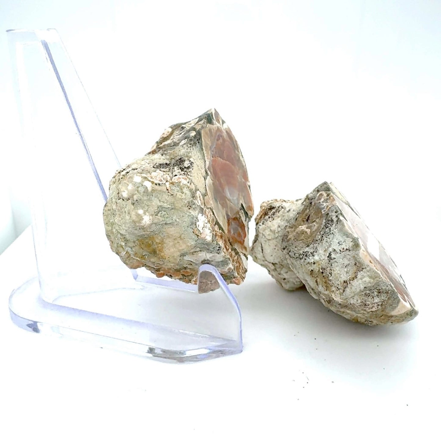 Natural Agate Nodule Mont Lyall Canada polished one face
