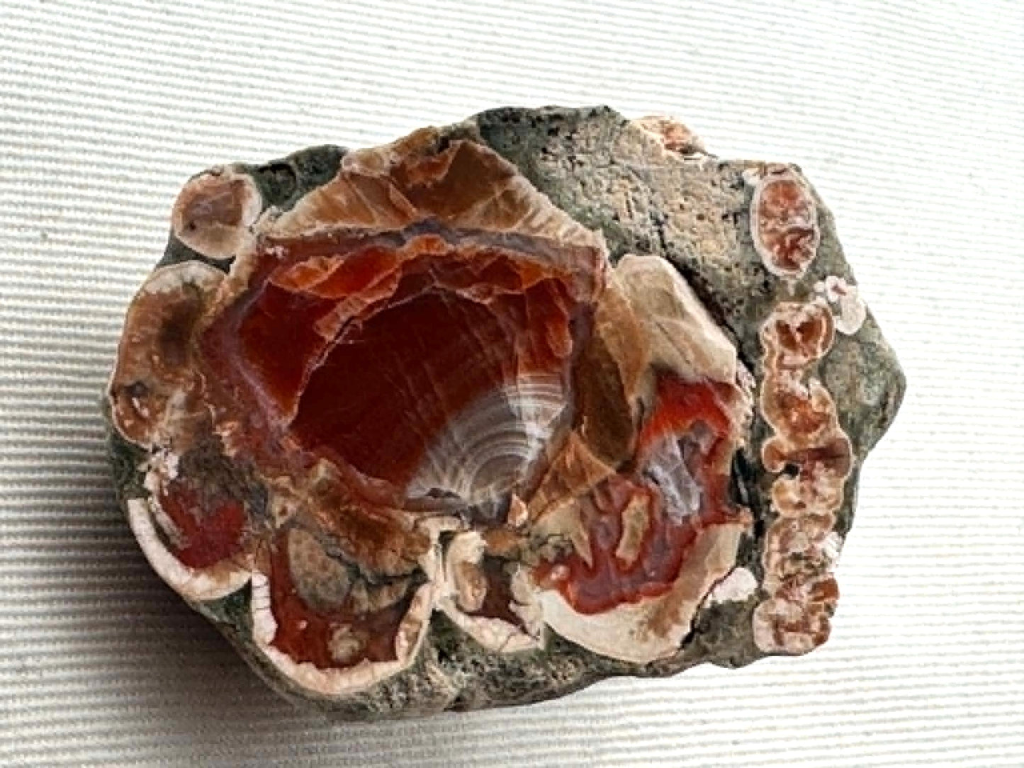 Natural Agate Nodule Mont Lyall Canada polished one face