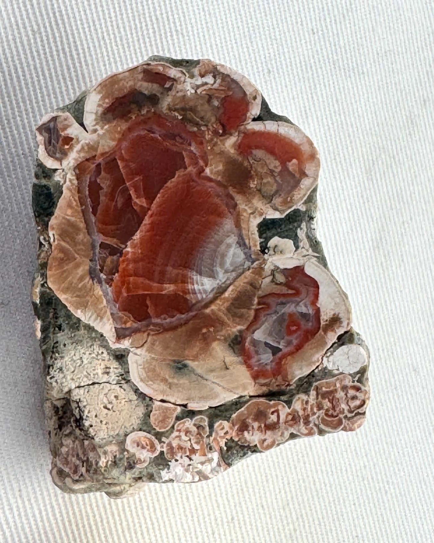 Natural Agate Nodule Mont Lyall Canada polished one face