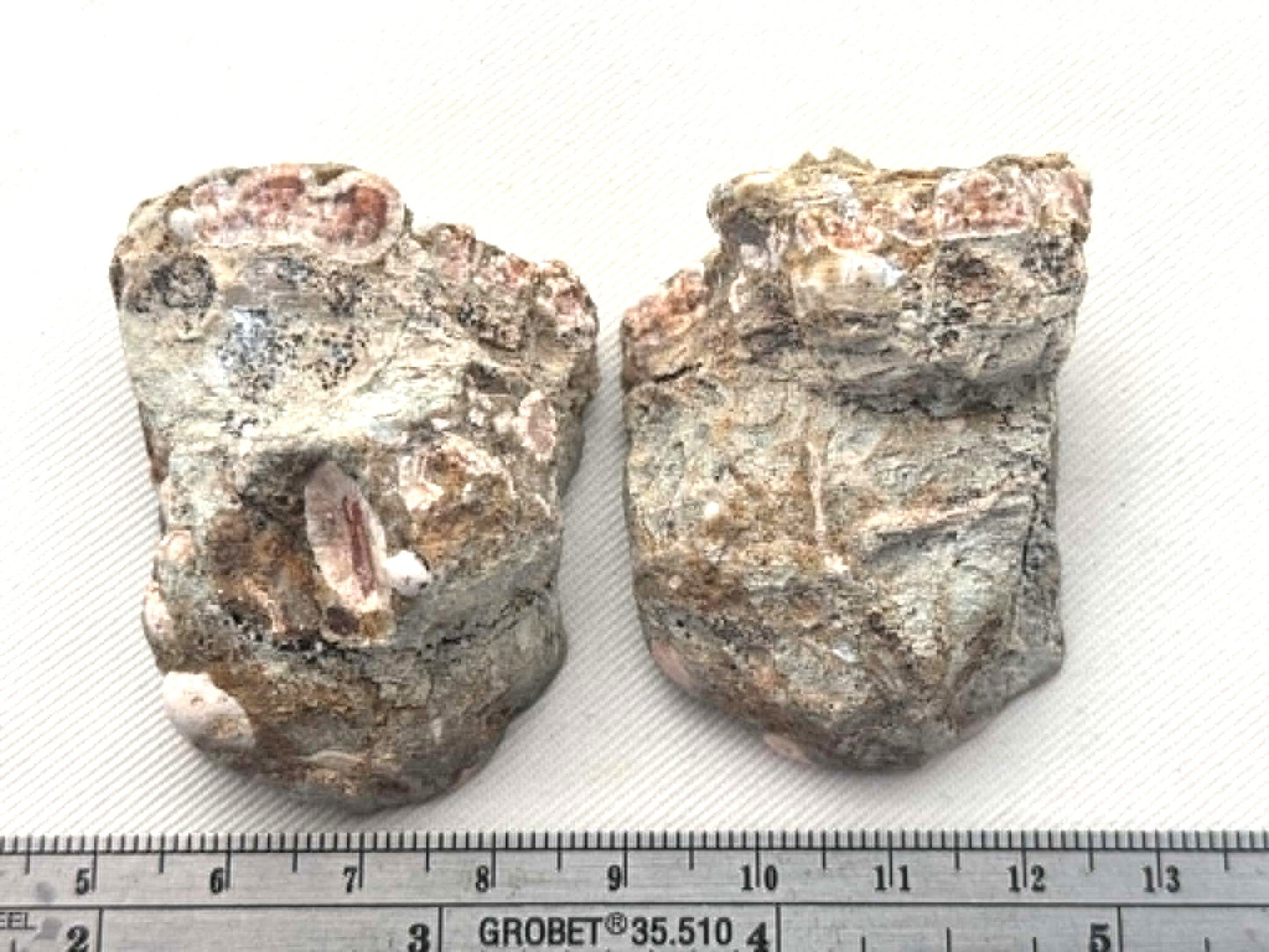 Natural Agate Nodule Mont Lyall Canada polished one face