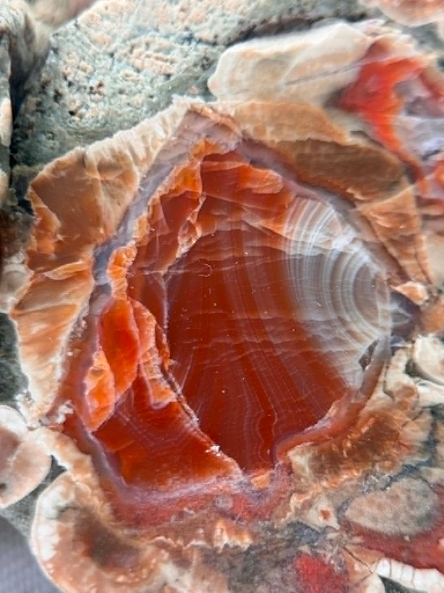 Natural Agate Nodule Mont Lyall Canada polished one face