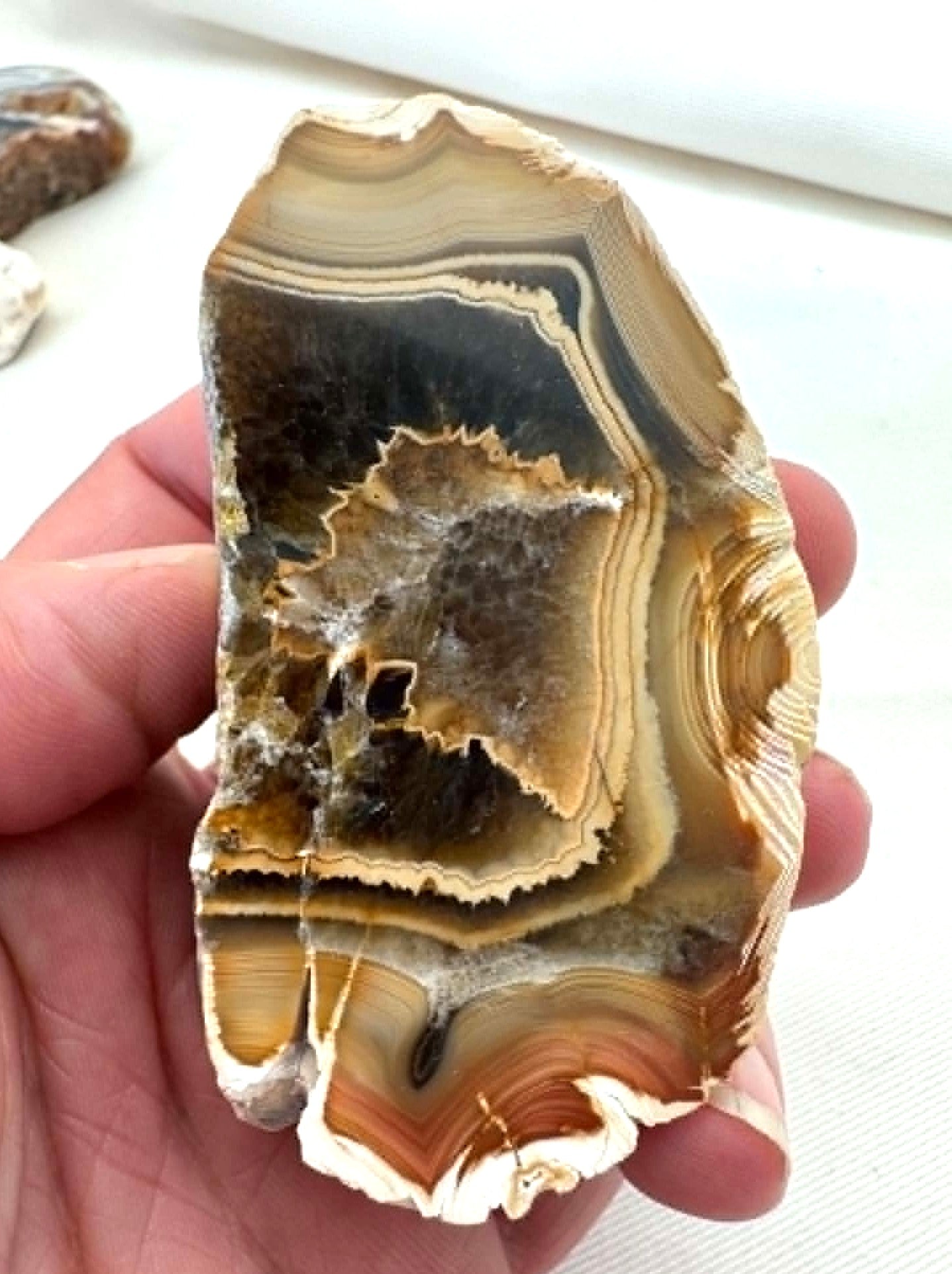 Agate Rough one side polished Half nodule