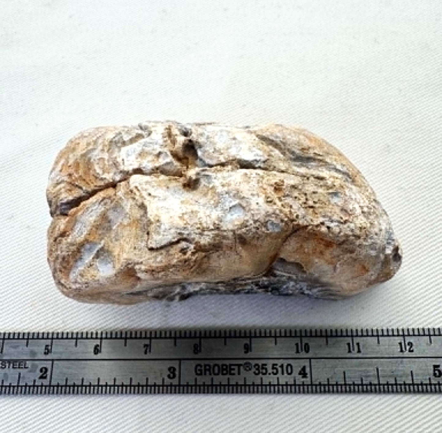 Agate Rough one side polished Half nodule
