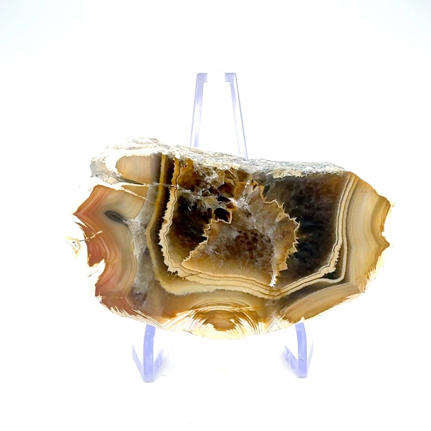 Agate Rough one side polished Half nodule