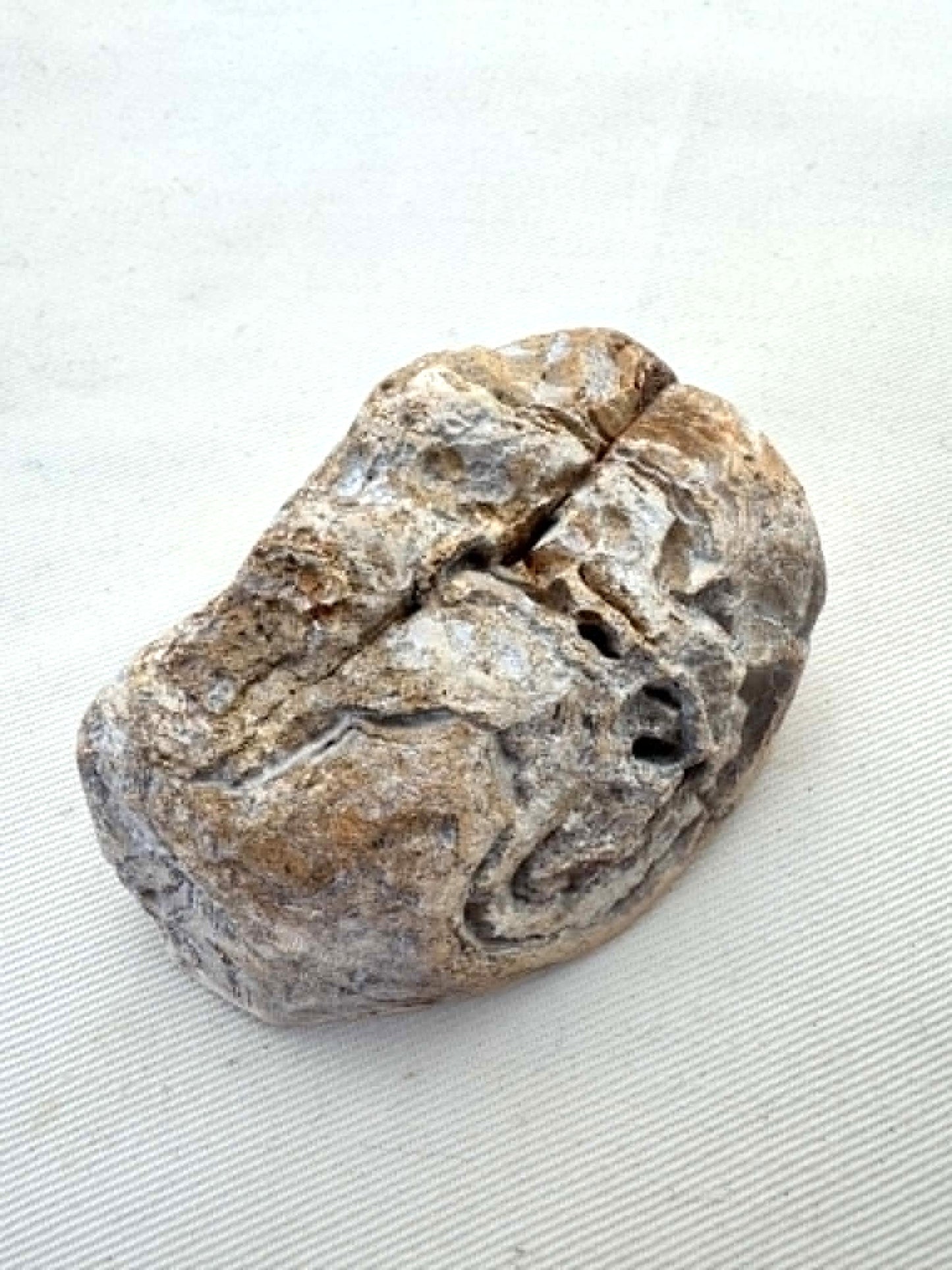 Agate Rough one side polished Half nodule