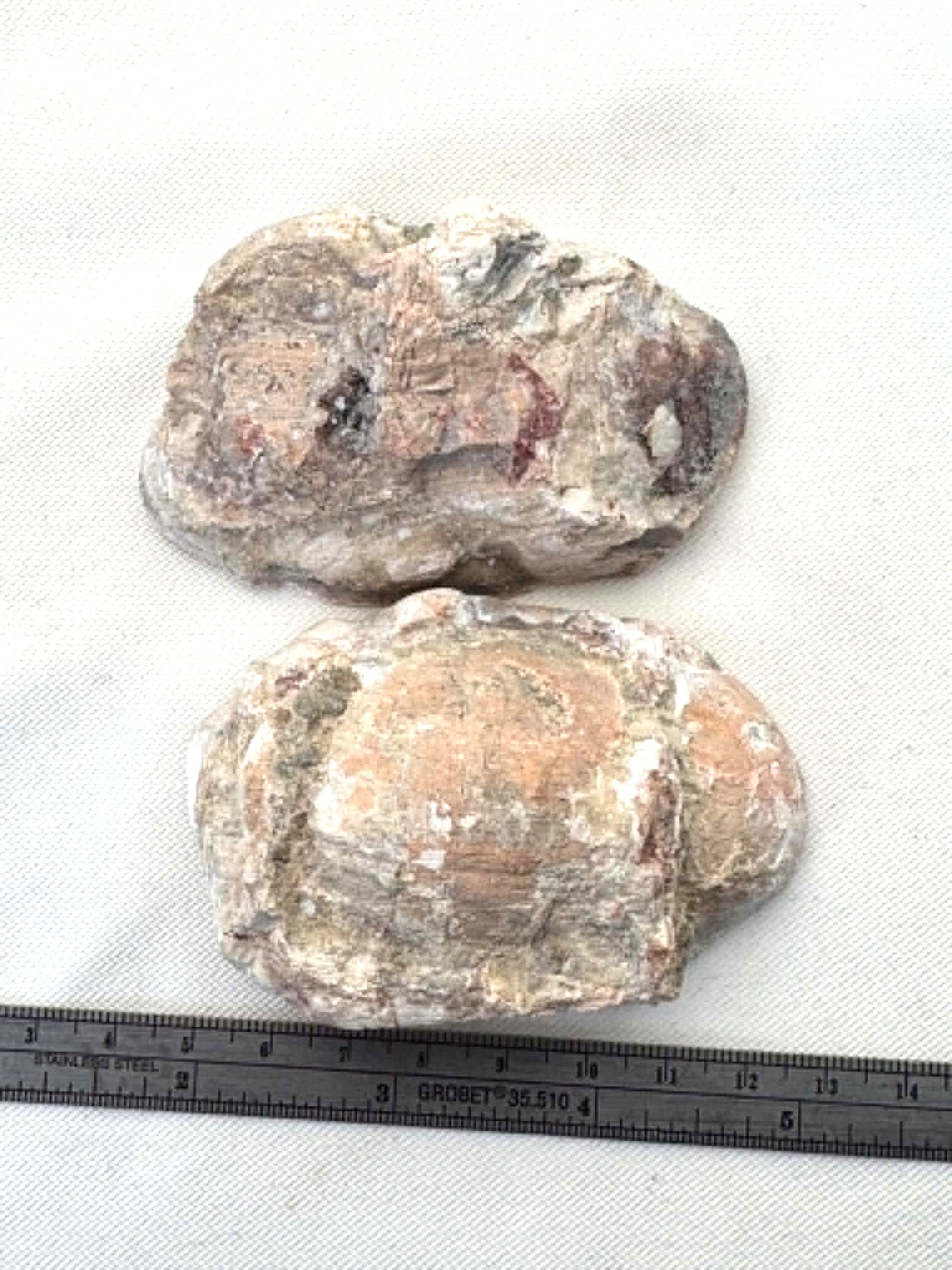 Natural Agate Nodule Mont Lyall Canada polished one face