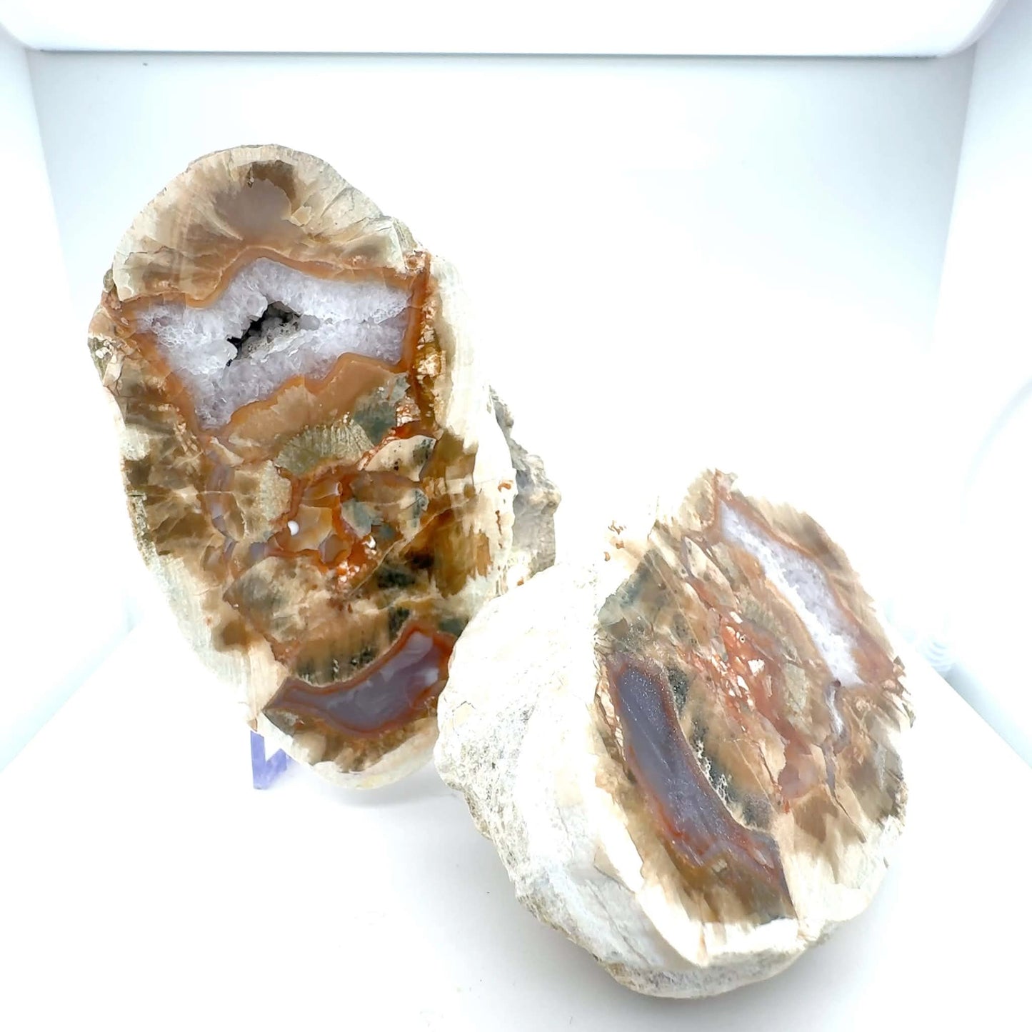 Natural Agate Nodule Mont Lyall Canada polished one face
