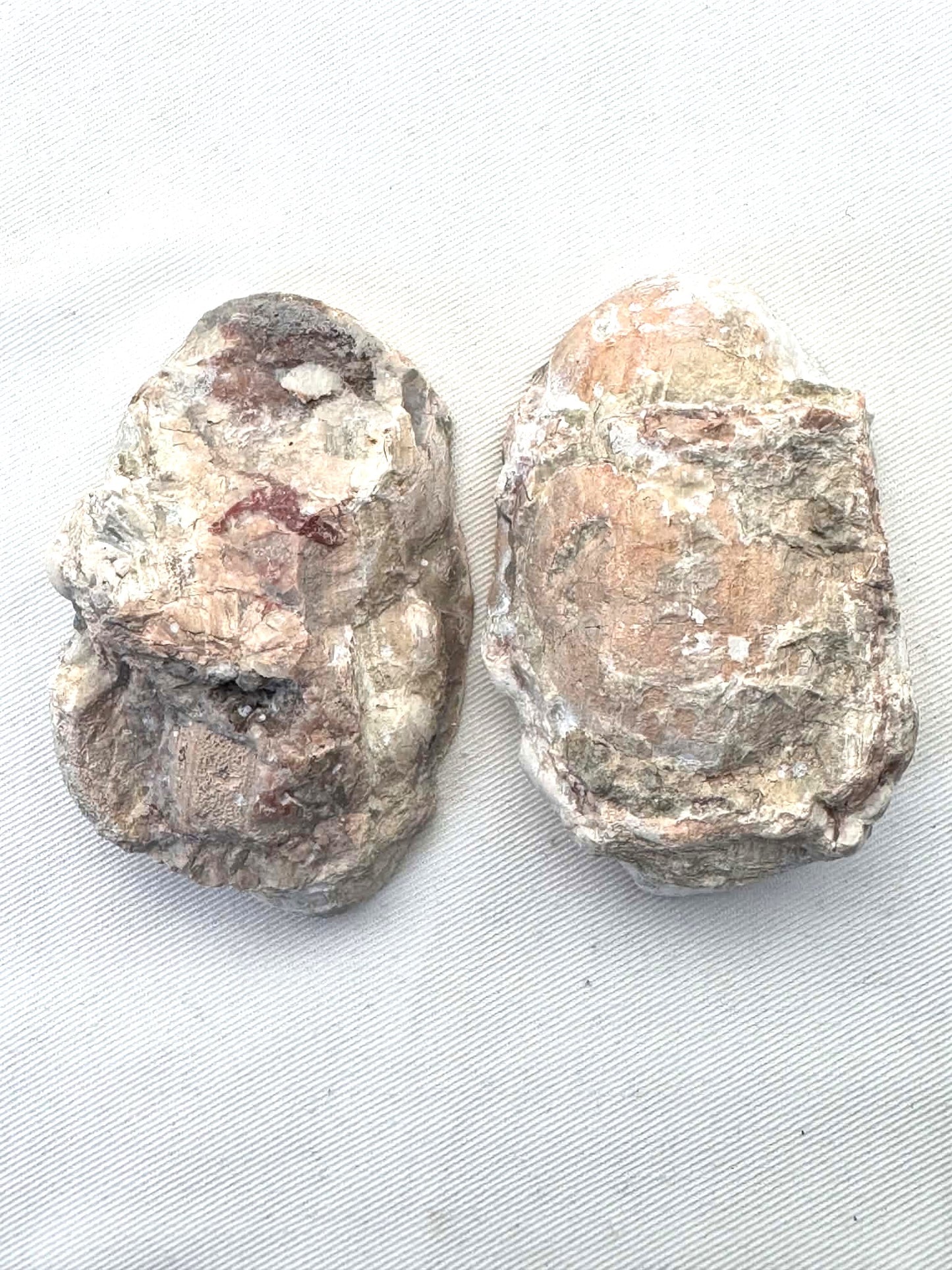 Natural Agate Nodule Mont Lyall Canada polished one face