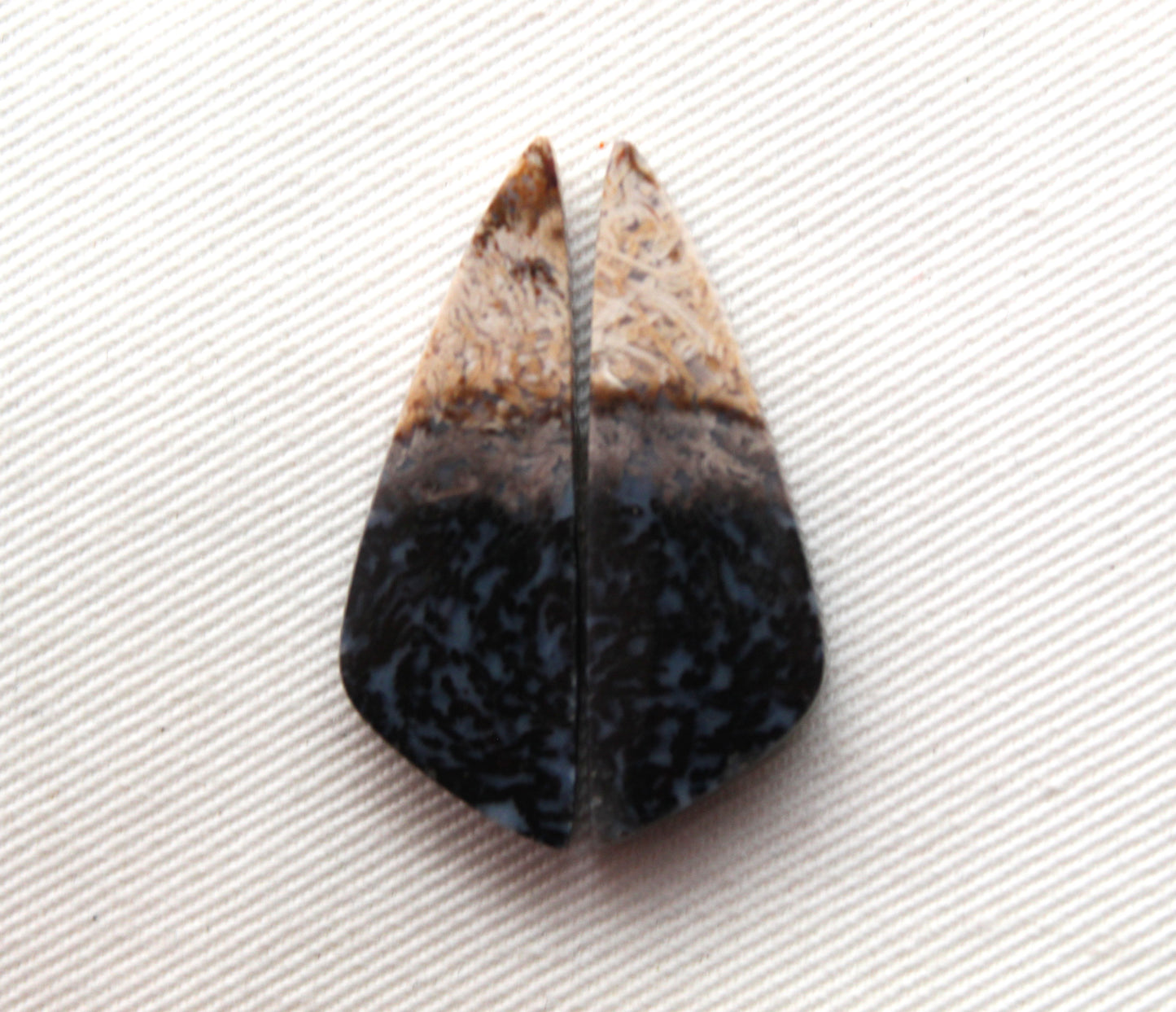 Petrified Palm Wood Cabochon Pair