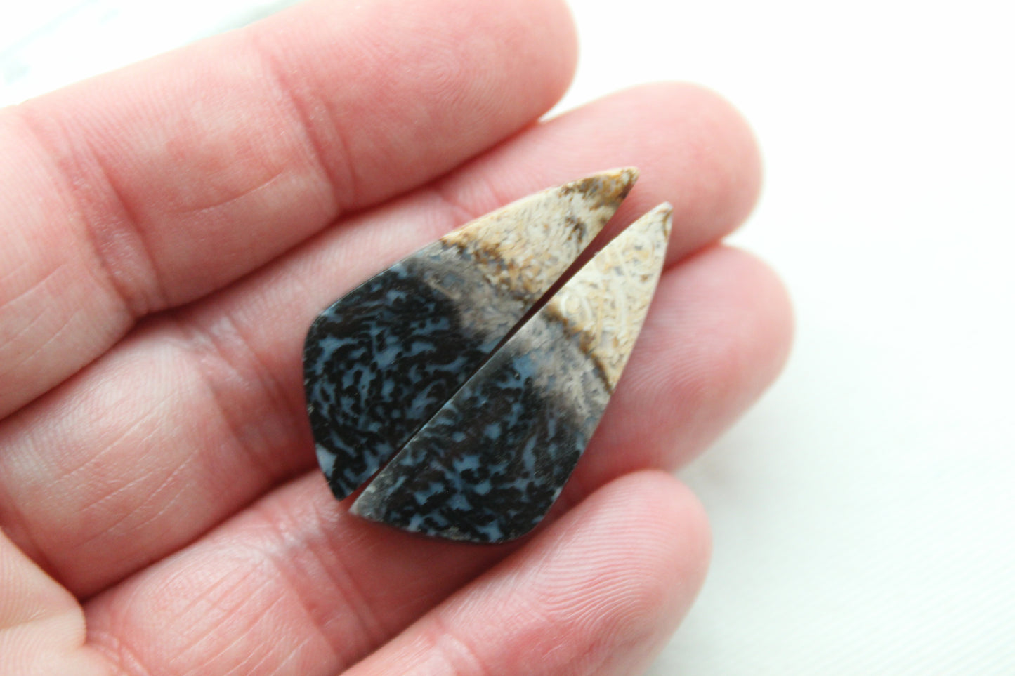 Petrified Palm Wood Cabochon Pair