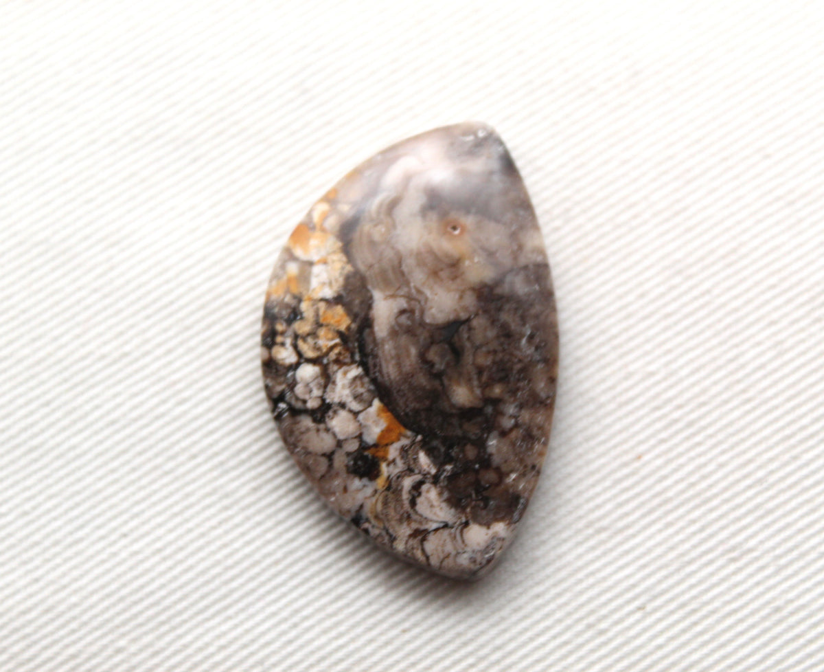 Fossilized Wood Gemstone Cabochon