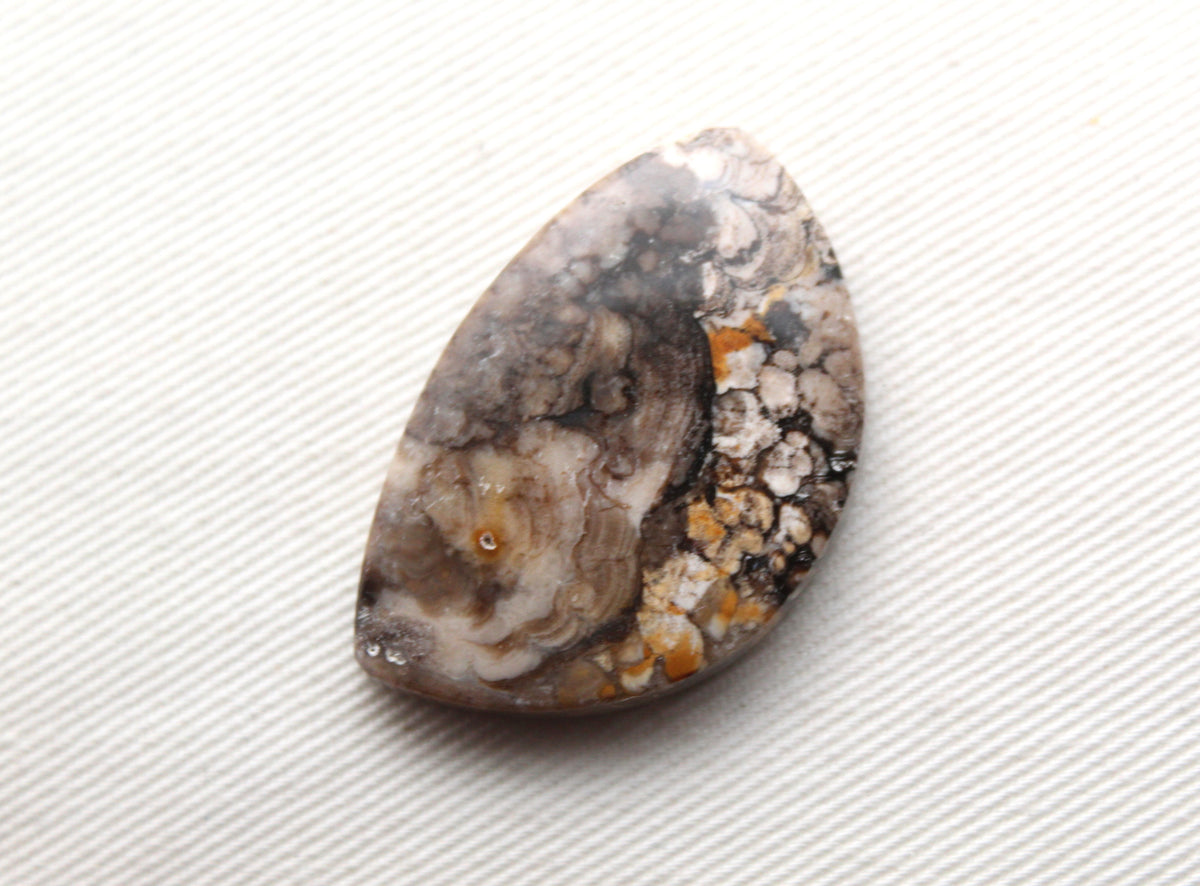 Fossilized Wood Gemstone Cabochon
