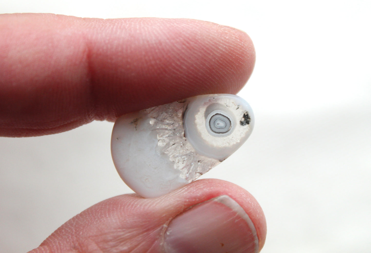 Orbicular Agate Cabochons Pair Gemstone natural
