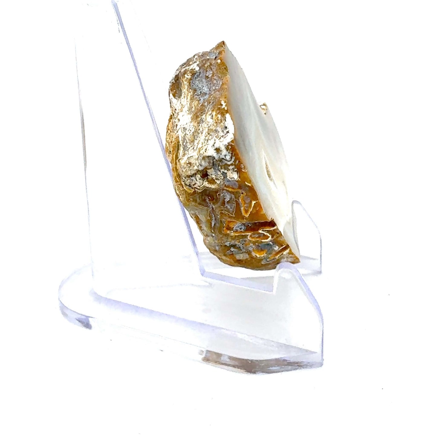 Indonesian Yellow banded Agate nodule polished (Copie)