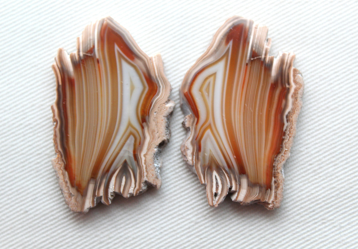 Sliced Agate Pair Gemstones freeform natural