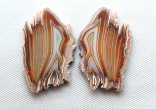 Sliced Agate Pair Gemstones freeform natural