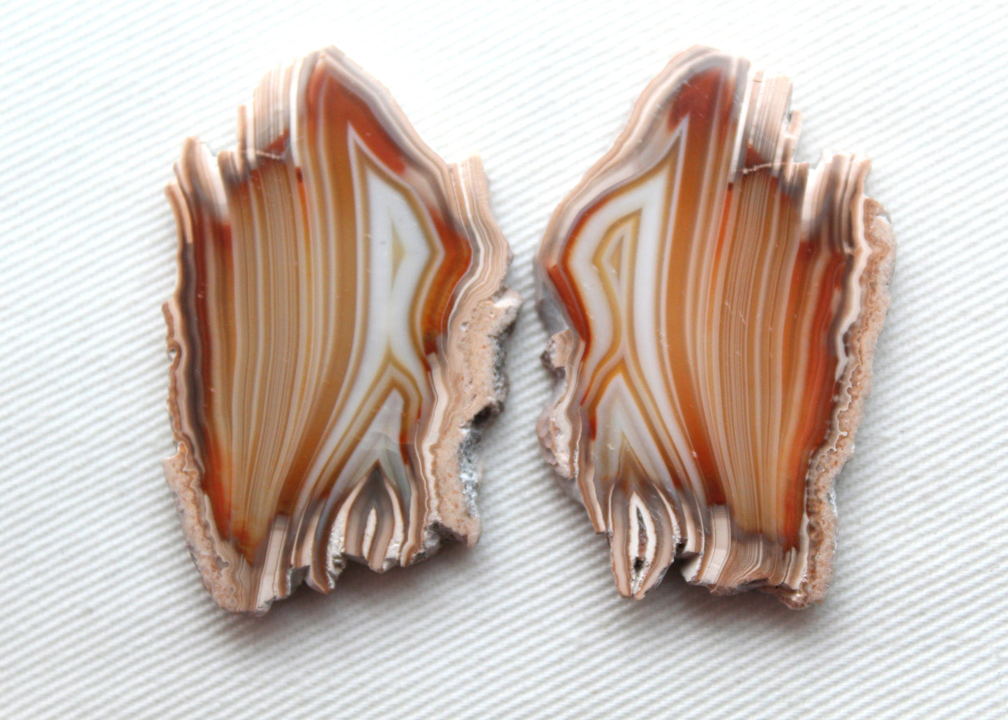Sliced Agate Pair Gemstones freeform natural