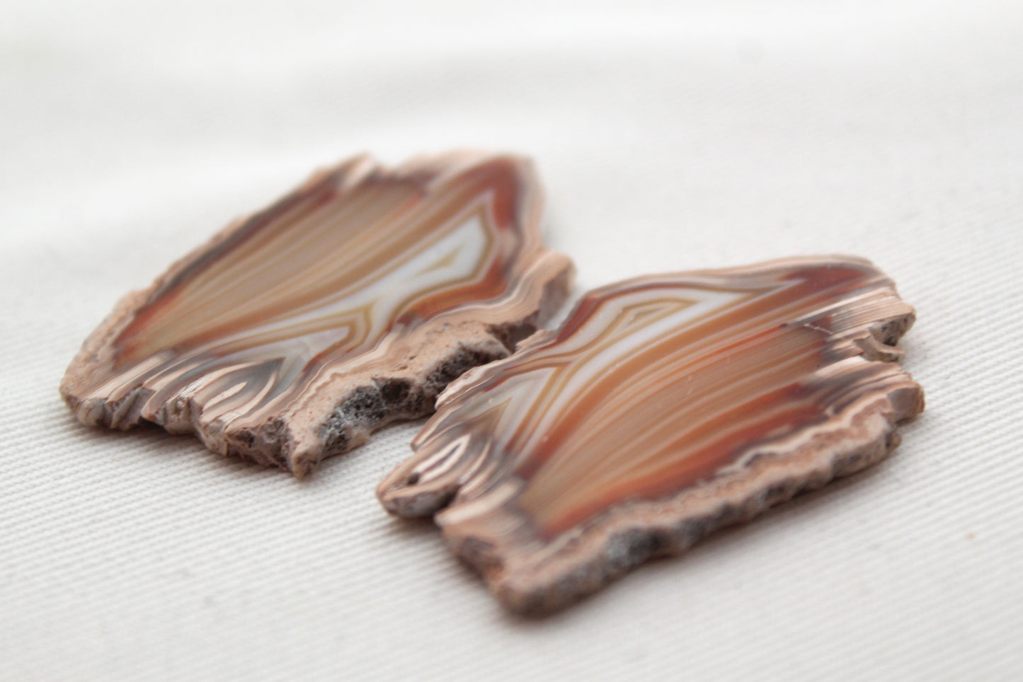 Sliced Agate Pair Gemstones freeform natural