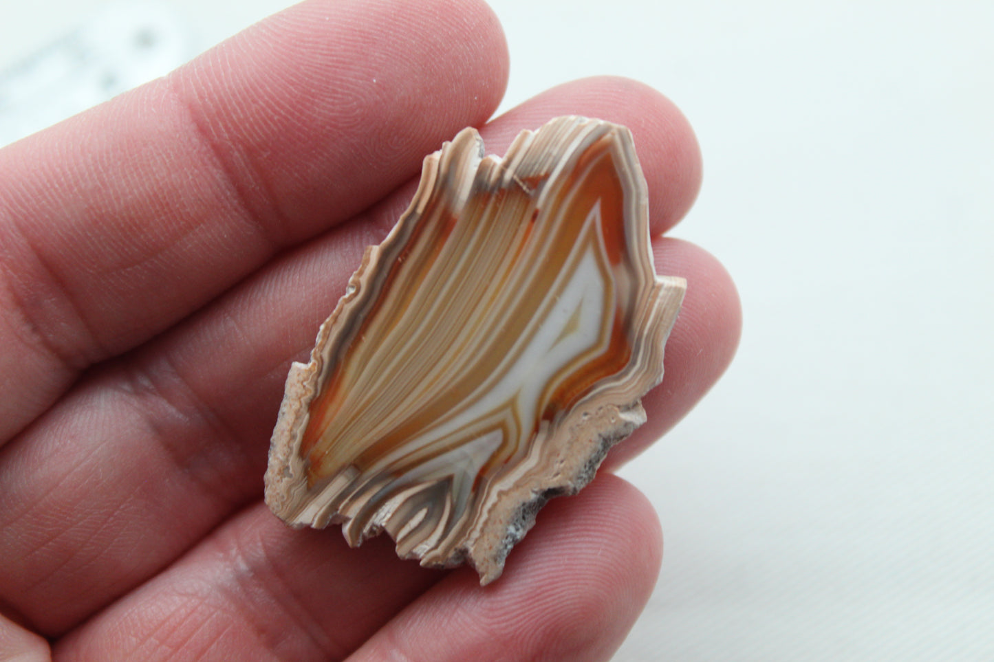 Sliced Agate Pair Gemstones freeform natural
