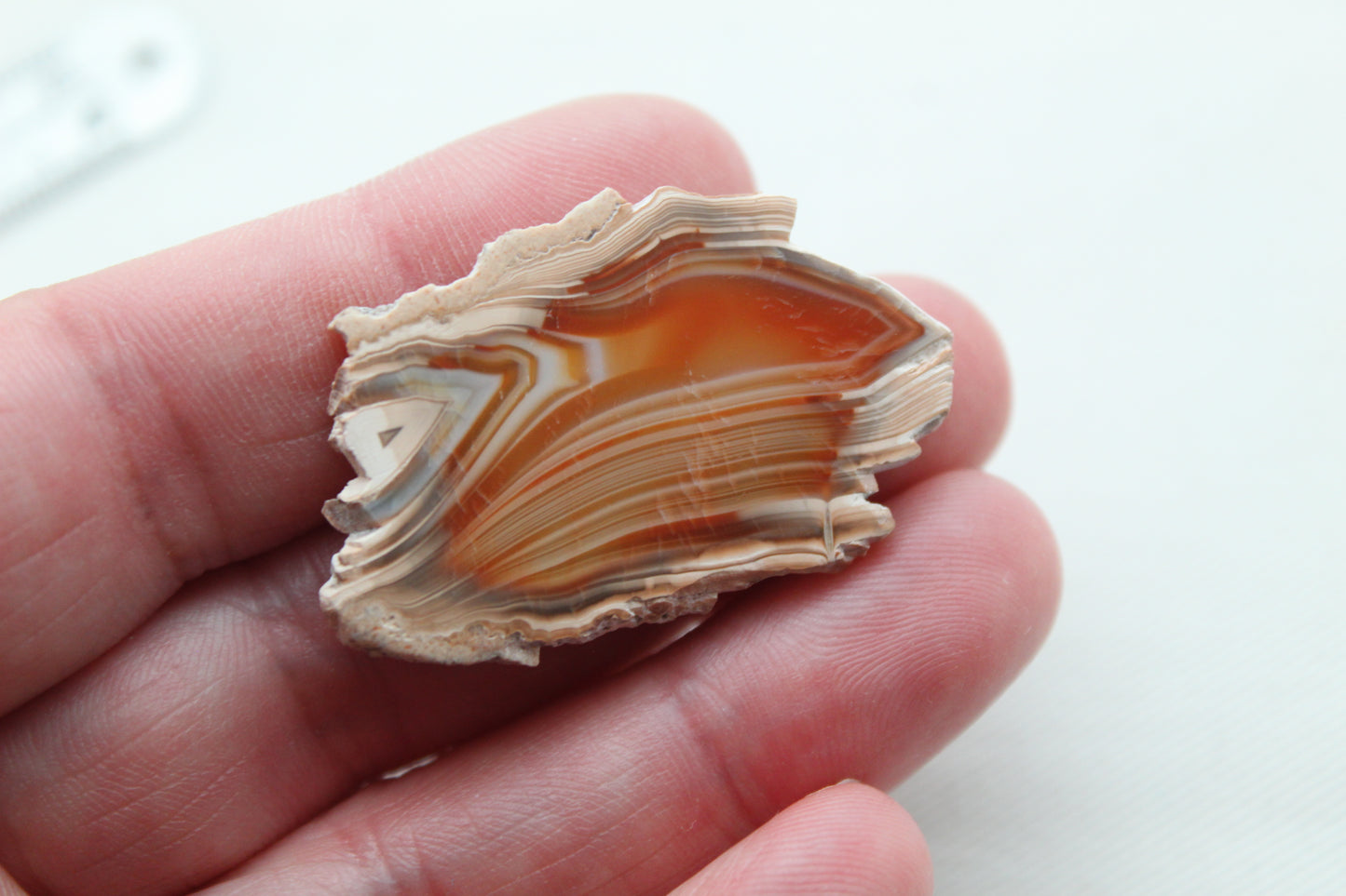 Sliced Agate Pair Gemstones freeform natural