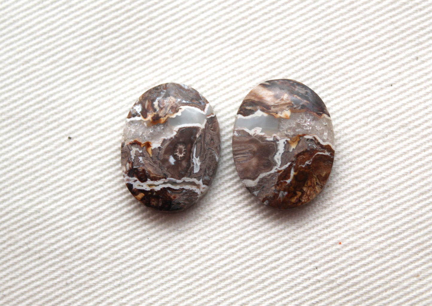 Small Petrified Palm Wood Cabochon Pair