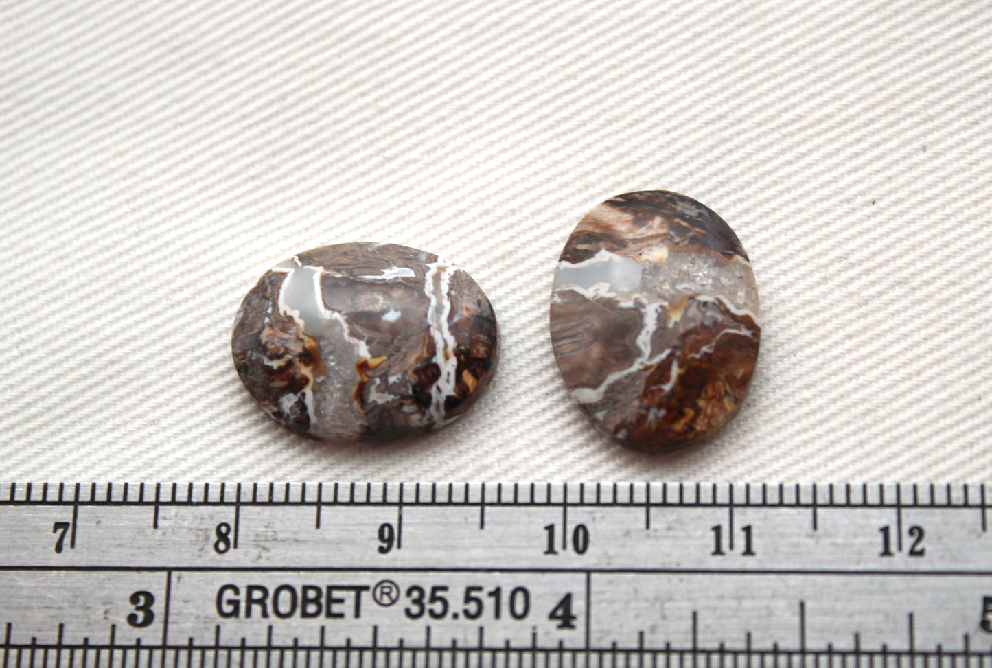 Small Petrified Palm Wood Cabochon Pair