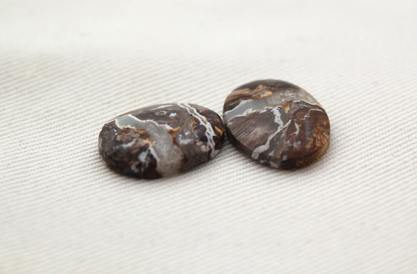 Small Petrified Palm Wood Cabochon Pair