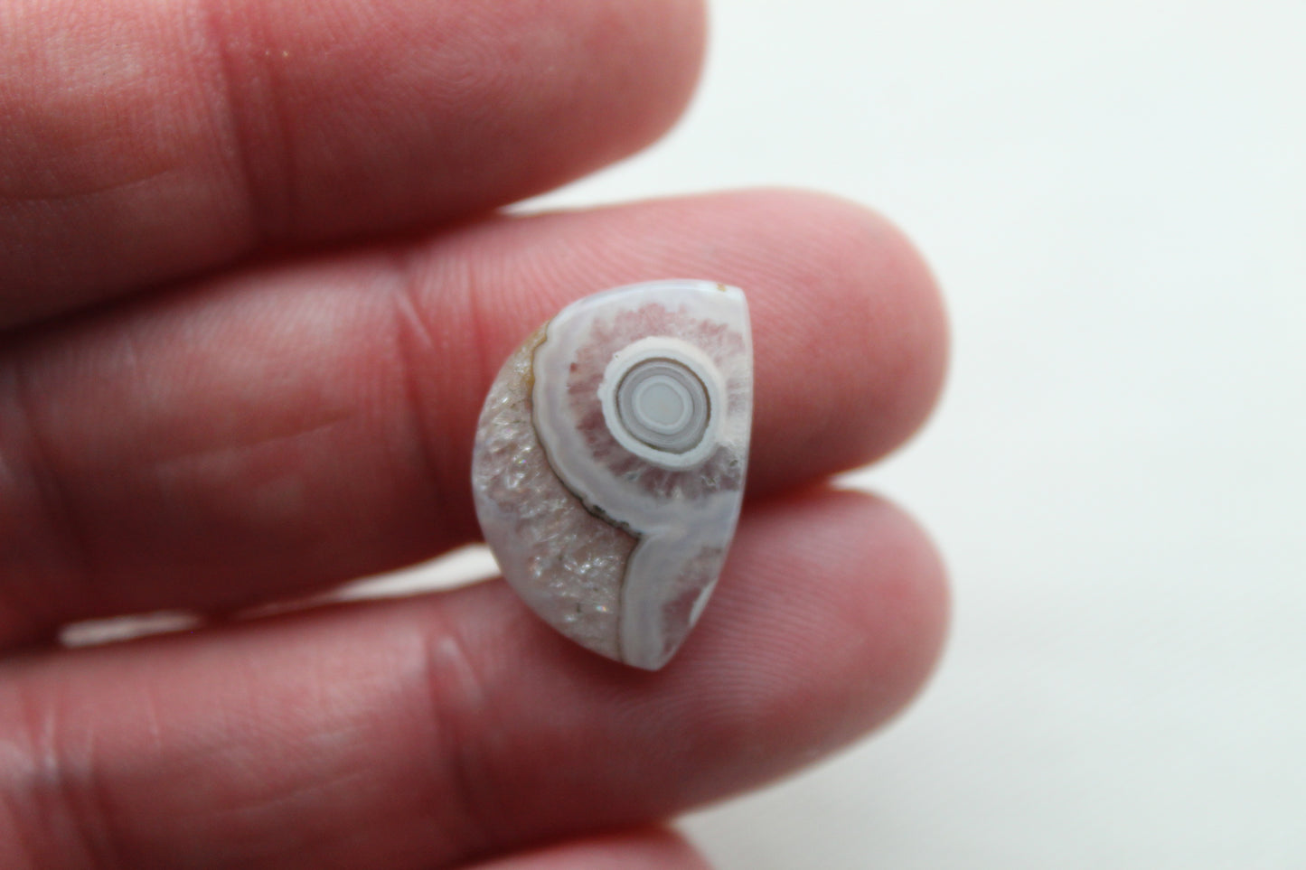 Small Orbicular Agate Cabochons Pair Gemstone natural