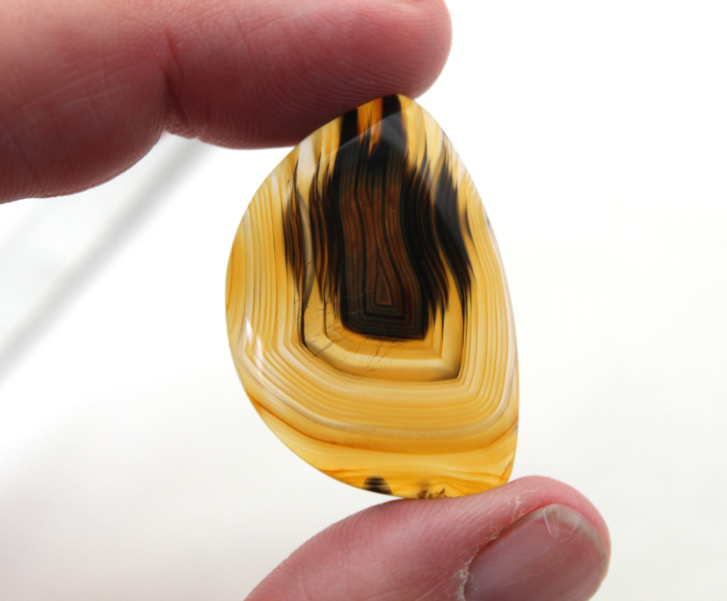 Sumatra Agate Cabochon Gemstone Yellow freeform