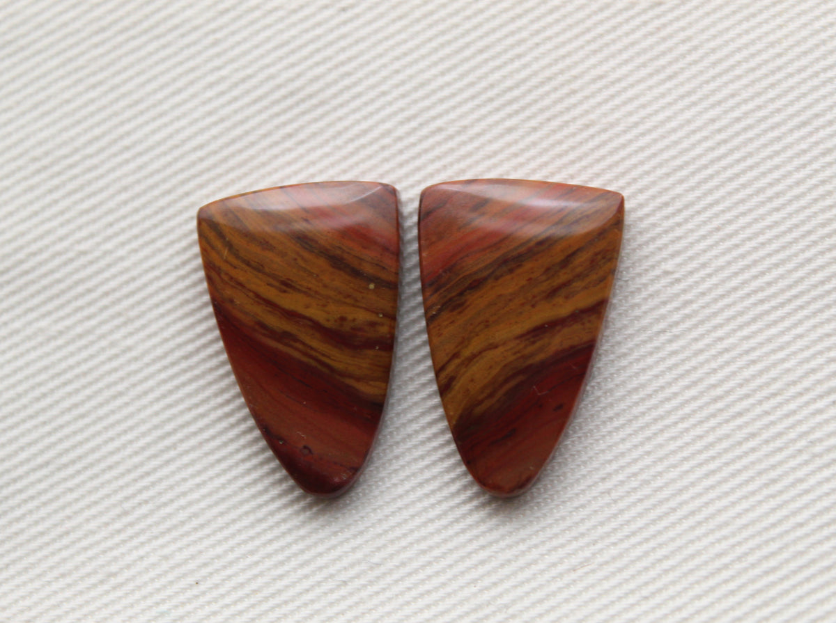 Small Petrified Wood Cabochon Pair natural gemstones