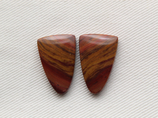 Small Petrified Wood Cabochon Pair natural gemstones