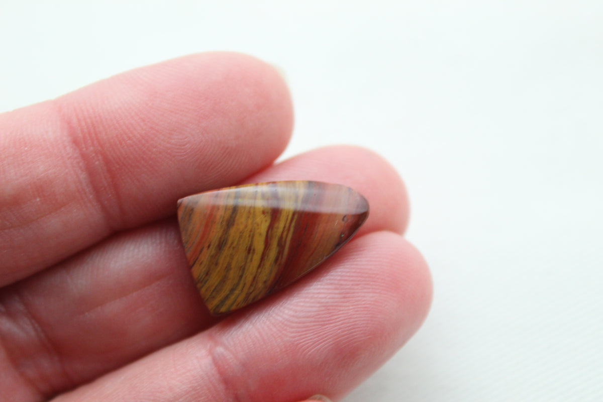 Small Petrified Wood Cabochon Pair natural gemstones