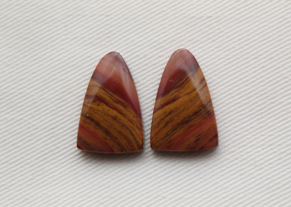 Small Petrified Wood Cabochon Pair natural gemstones