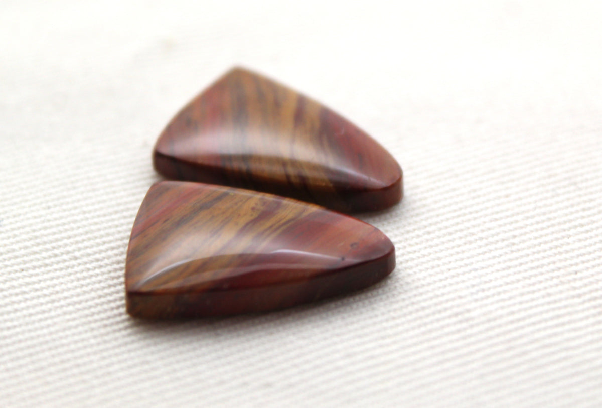 Small Petrified Wood Cabochon Pair natural gemstones