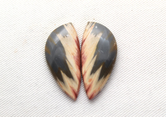 Rare Pair of Fossil Wood freeform gemstone