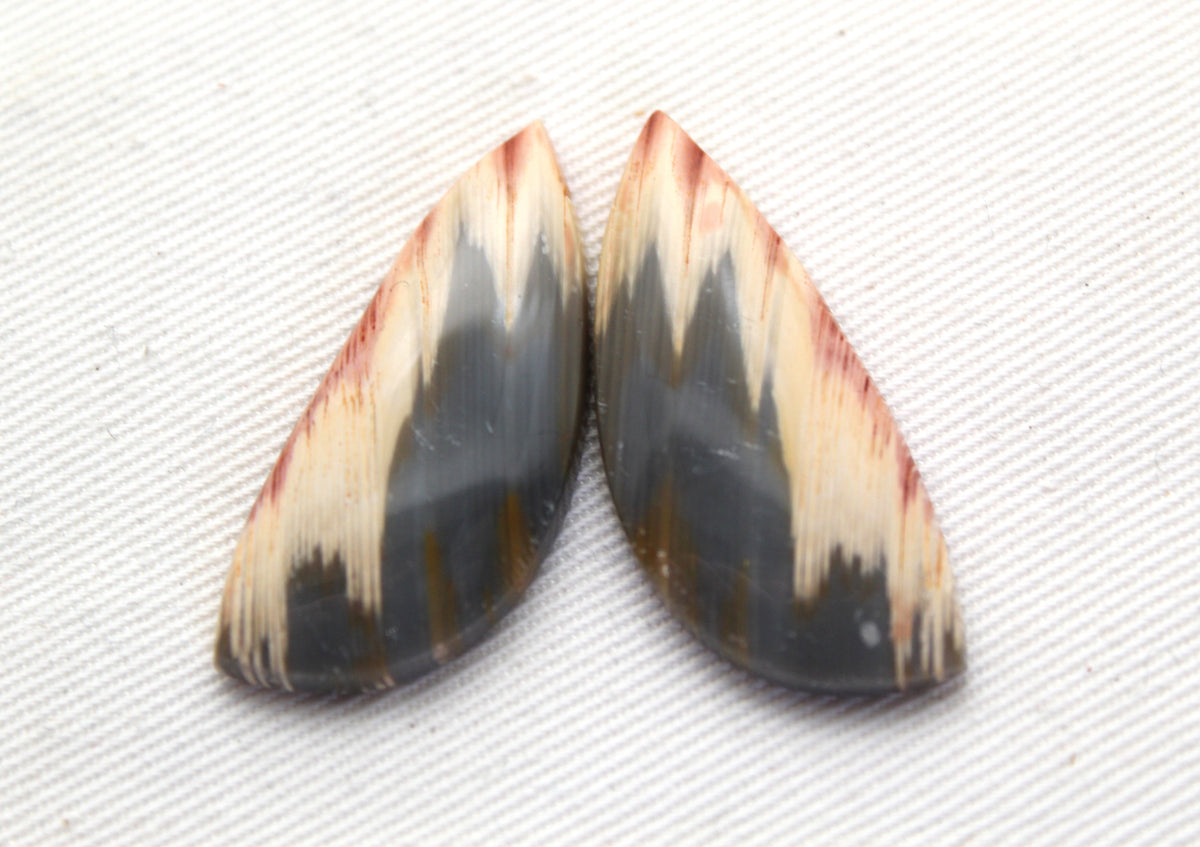 Rare Pair of Fossil Wood freeform gemstone