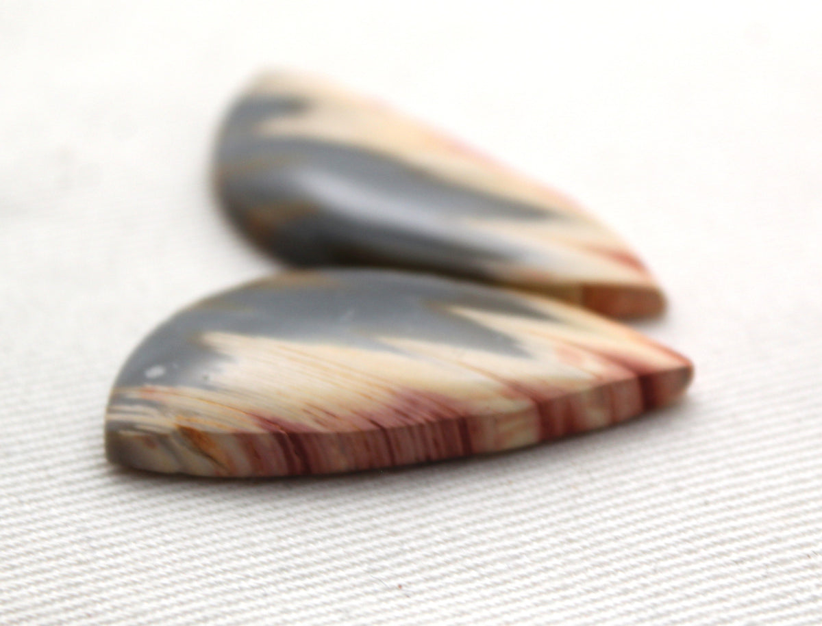 Rare Pair of Fossil Wood freeform gemstone
